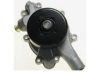 MITSUBISHI 53021018AB Water Pump