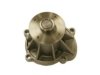 NISSAN 2101067U25 Water Pump