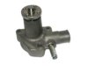 ACDELCO  252656 Water Pump