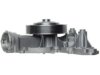 GENERAL MOTORS 19253271 Water Pump