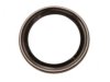 OEM 3965092 Wheel Seal