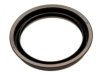 OEM 15589666 Wheel Seal