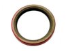 OEM 10191640 Crankshaft Seal