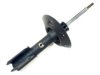 OEM 22064793 Strut