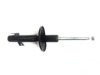 GENERAL MOTORS 18027341 Strut