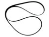  12637201 Belt