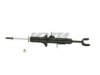 KYB  341366 Strut