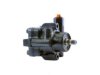 GENERAL MOTORS 19318996 Power Steering Pump