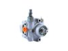 GENERAL MOTORS 19319025 Power Steering Pump