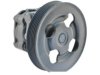 GENERAL MOTORS 19319280 Power Steering Pump
