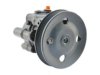 GENERAL MOTORS 19319333 Power Steering Pump