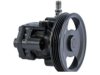 GENERAL MOTORS 19319648 Power Steering Pump