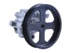 GENERAL MOTORS 19320096 Power Steering Pump
