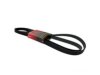 MOTORCRAFT  JK61013AC Belt