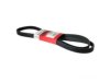 MOTORCRAFT  JK6901A Belt