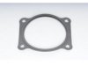  405093 Throttle Body Gasket