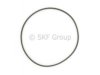 CHRYSLER 52114079AA Axle Hub O-Ring