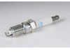 GENERAL MOTORS 12591131 Spark Plug