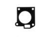  4110031 Throttle Body Gasket
