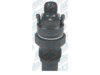 OEM 10233973 Fuel Injector