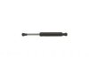 AMS AUTOMOTIVE  4383 Lift Support
