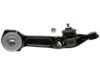 GENERAL MOTORS 19241989 Control Arm