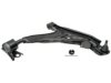 GENERAL MOTORS 19242008 Control Arm