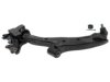 GENERAL MOTORS 19287815 Control Arm