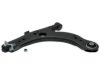 GENERAL MOTORS 19287790 Control Arm