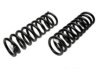 RAYBESTOS CHASSIS 5851049 Coil Spring