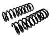 RAYBESTOS CHASSIS 5851068 Coil Spring