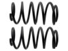 UNION SPRINGS 20350 Coil Spring