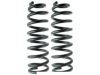 FORD 3W735310BA Coil Spring