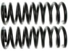 UNION SPRINGS 20420 Coil Spring