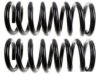 GENERAL MOTORS 19187044 Coil Spring