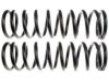 UNION SPRINGS 20398 Coil Spring