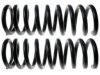 GENERAL MOTORS 19187057 Coil Spring