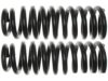 ACDELCO  45H0334 Coil Spring