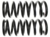 UNION SPRINGS 20464 Coil Spring