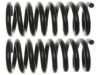 UNION SPRINGS 20460 Coil Spring