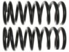 ACDELCO  45H0338 Coil Spring