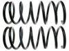 GENERAL MOTORS 19240062 Coil Spring