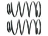 GENERAL MOTORS 22132791 Coil Spring