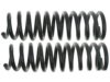 GENERAL MOTORS 19240793 Coil Spring