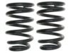 GENERAL MOTORS 19240795 Coil Spring