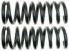 GENERAL MOTORS 19241933 Coil Spring