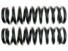 GENERAL MOTORS 19241786 Coil Spring