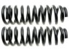 GENERAL MOTORS 15125883 Coil Spring