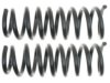 GENERAL MOTORS 15167976 Coil Spring