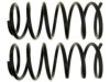 GENERAL MOTORS 10376189 Coil Spring